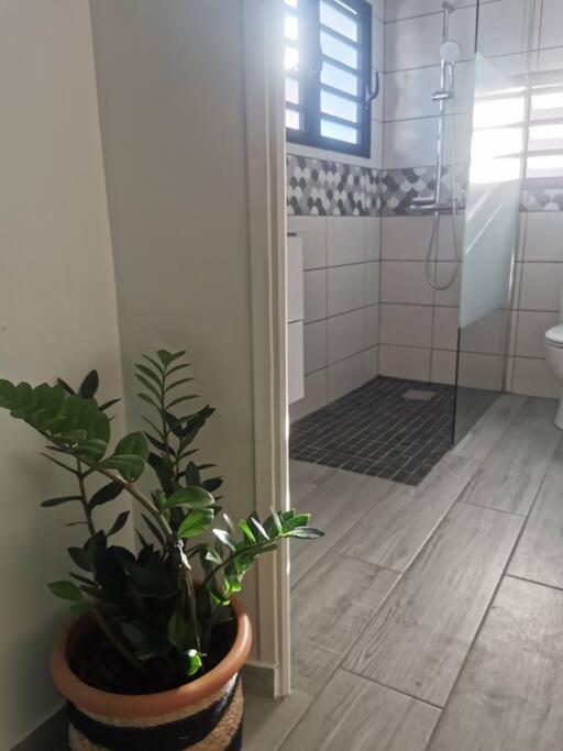 La Caz'A Loca Appartement Saint Pierre Buitenkant foto